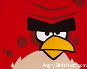 Angry-Birds-Big-Brother-Shirt