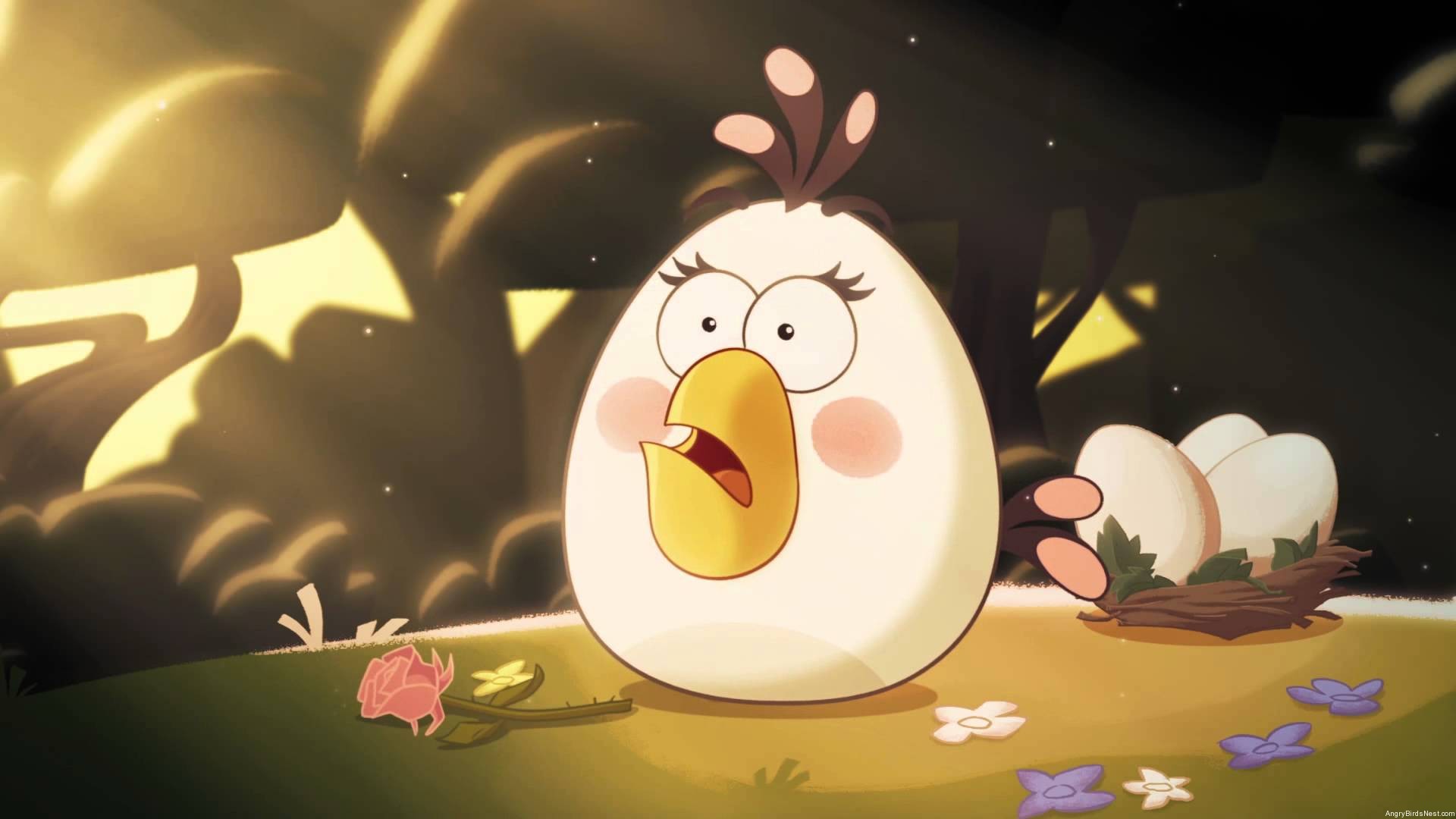 Angry Birds Toons Episode 50 Teaser