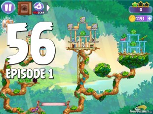 Angry Birds Stella Level 56 Episode 1 Walkthrough