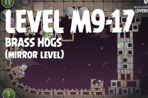 Angry Birds Space Brass Hogs Mirror Level M9-17 Walkthrough