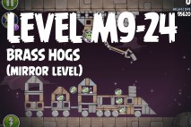 Angry Birds Space Brass Hogs Mirror Level M9-24 Walkthrough