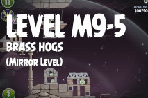 Angry Birds Space Brass Hogs Mirror Level M9-5 Walkthrough
