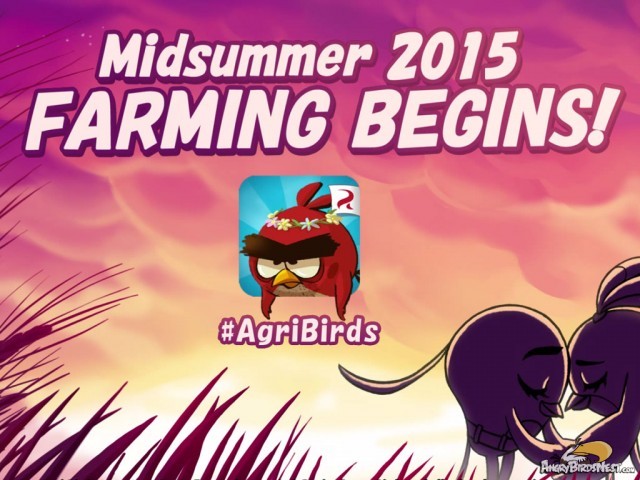 Agri Birds New Angry Birds Game Coming Summer 2015 - App Icon