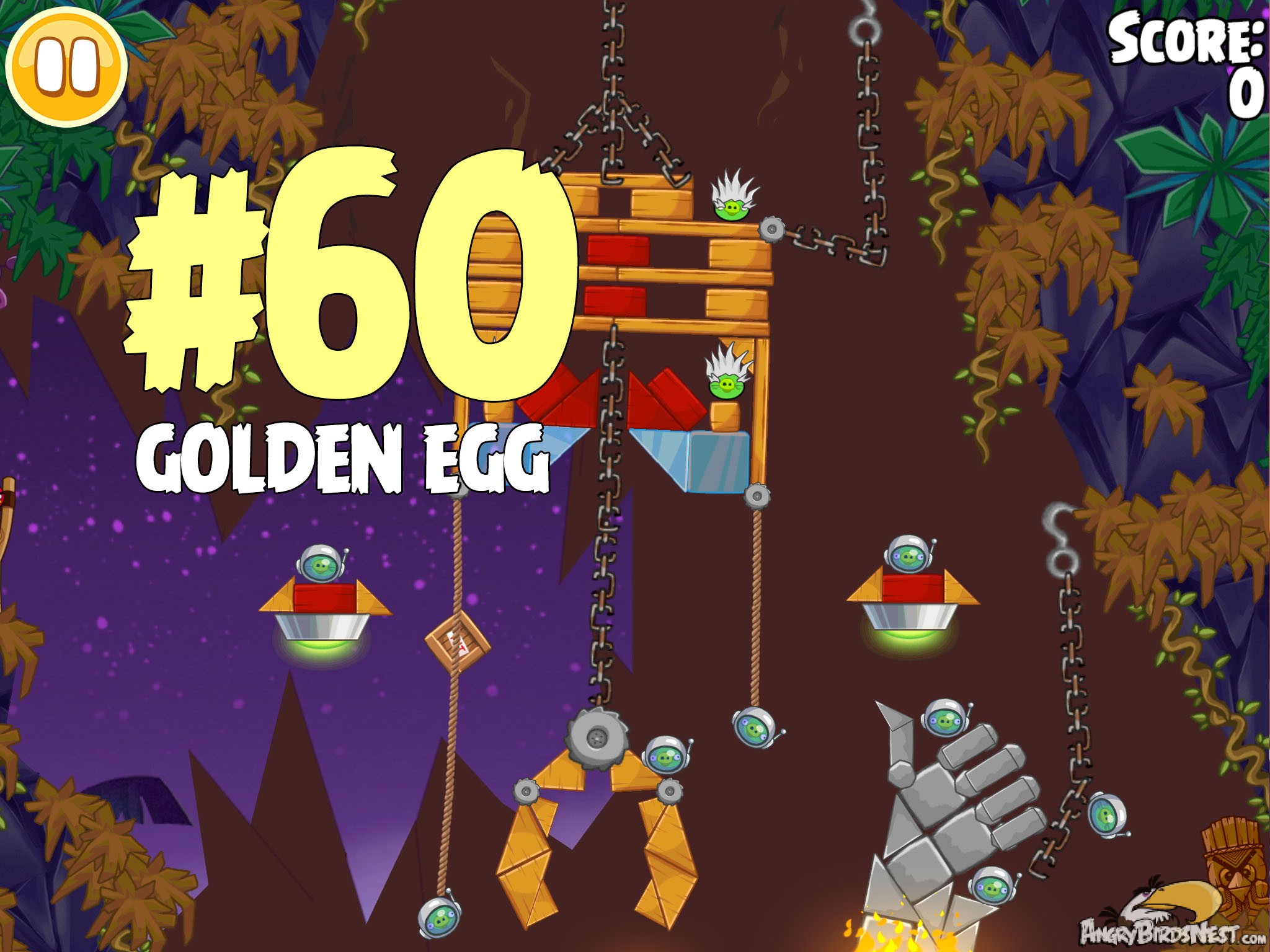 Angry Birds Seasons Tropigal Paradise Golden Egg #60