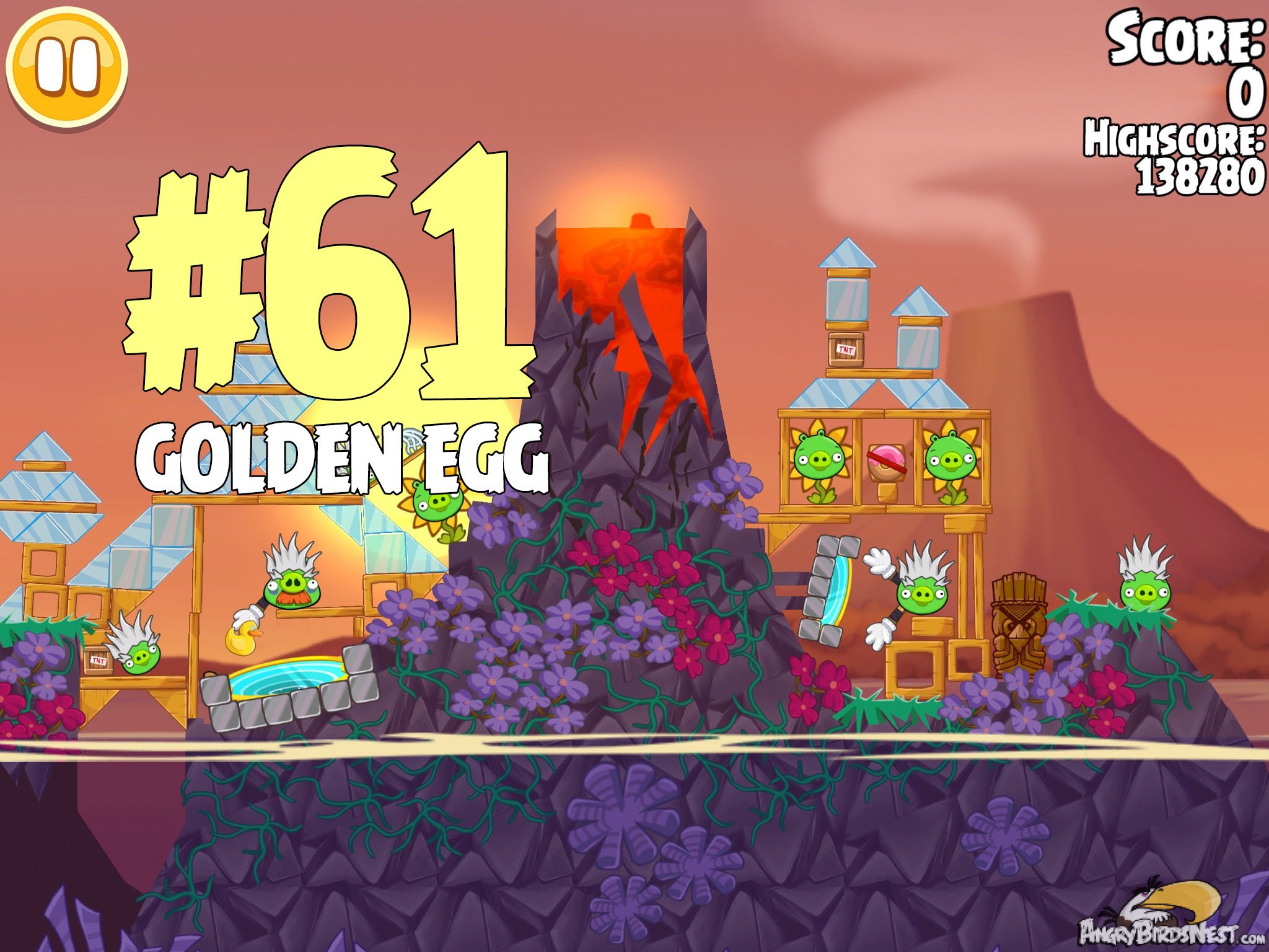 Angry Birds Seasons Tropigal Paradise Golden Egg #61