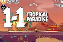 Angry Birds Seasons Tropigal Paradise Level 1-1 Walkthrough