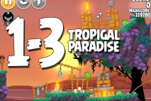 Angry Birds Seasons Tropigal Paradise Level 1-3 Walkthrough