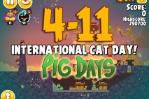 Angry Birds Seasons The Pig Days Level 4-11 Walkthrough | International Cat Day!