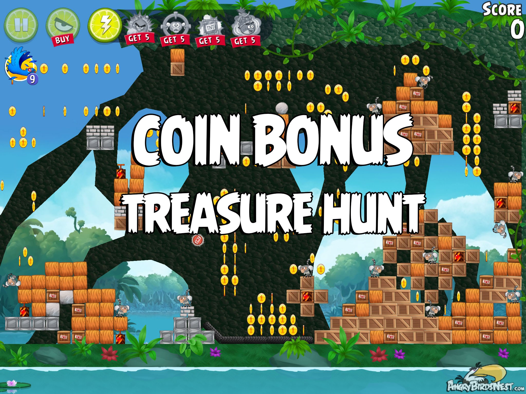 Angry Birds Rio Treasure Hunt Coin Bonus Level