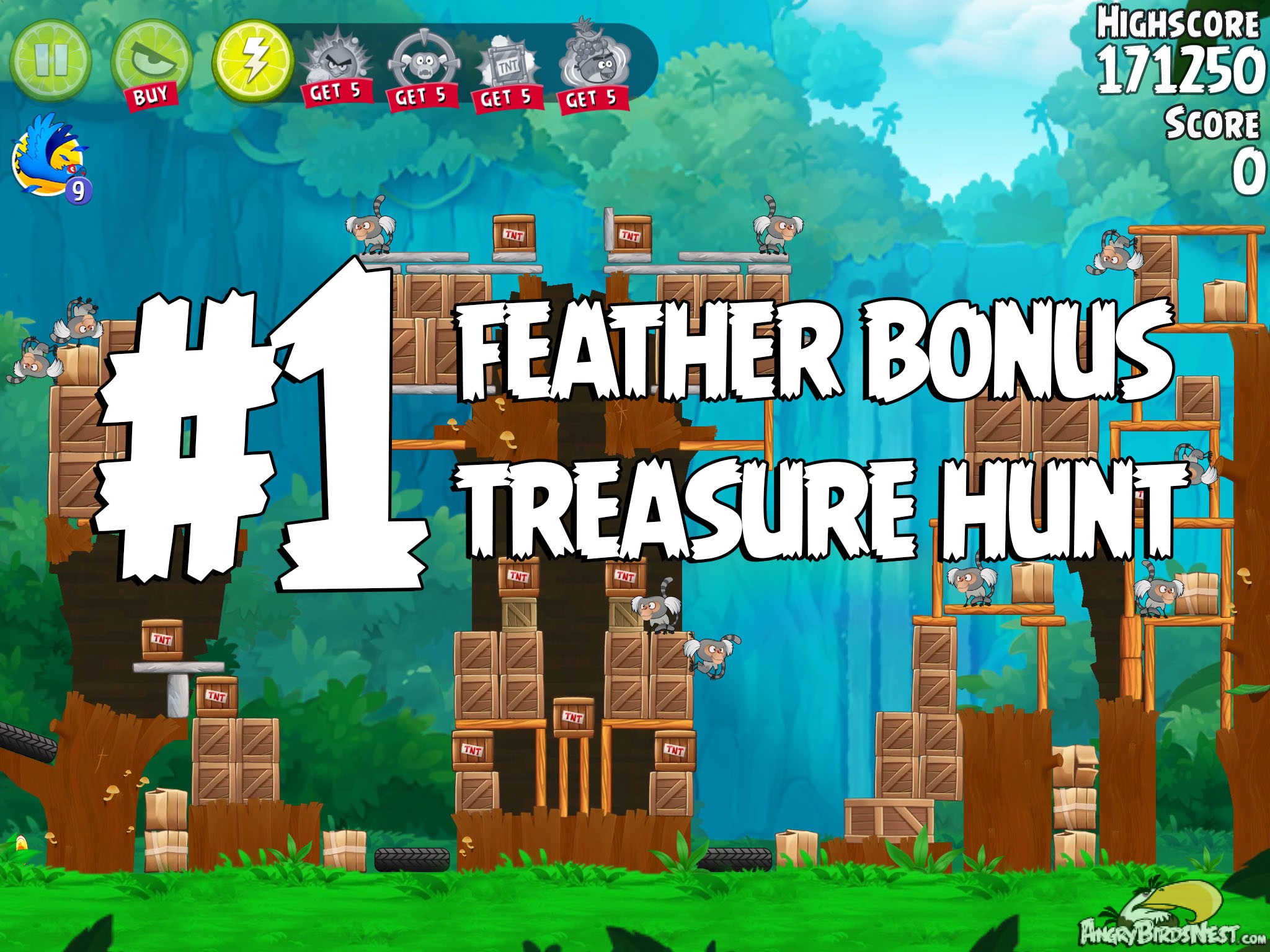 Angry Birds Rio Treasure Hunt Feather Bonus #1
