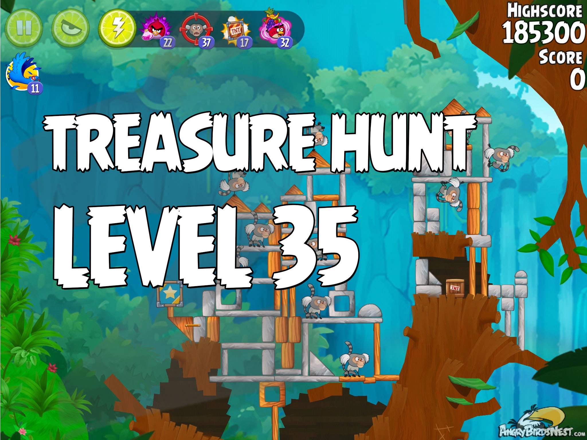 Angry Birds Rio Treasure hunt Level 35