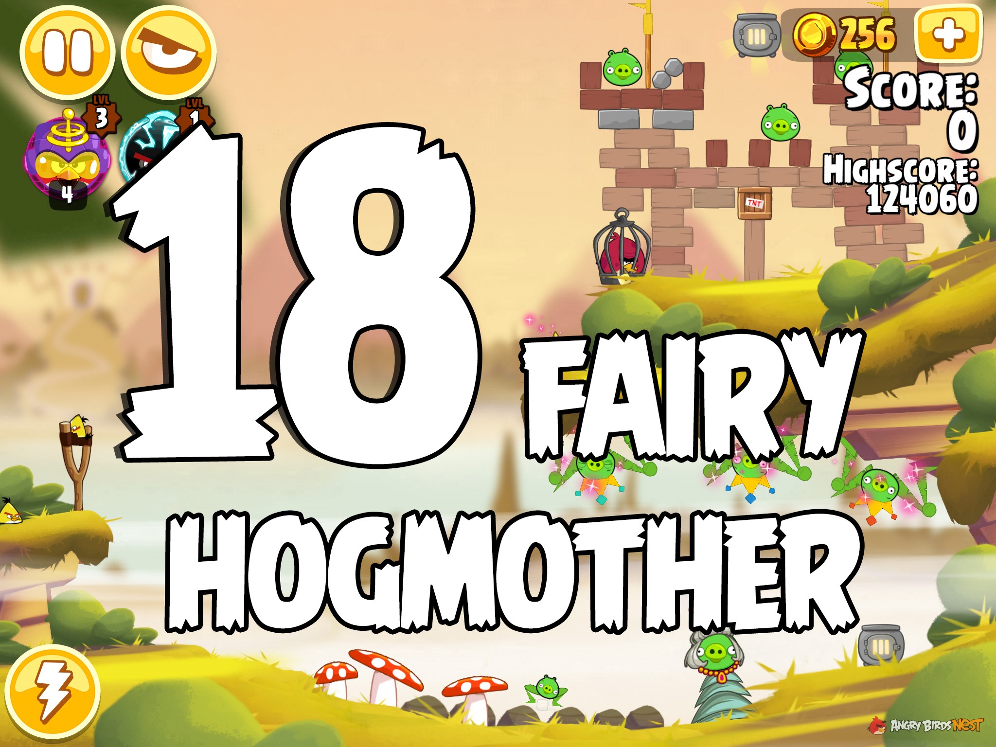 Angry Birds Seasons Fairy Hogmother Level 1-18