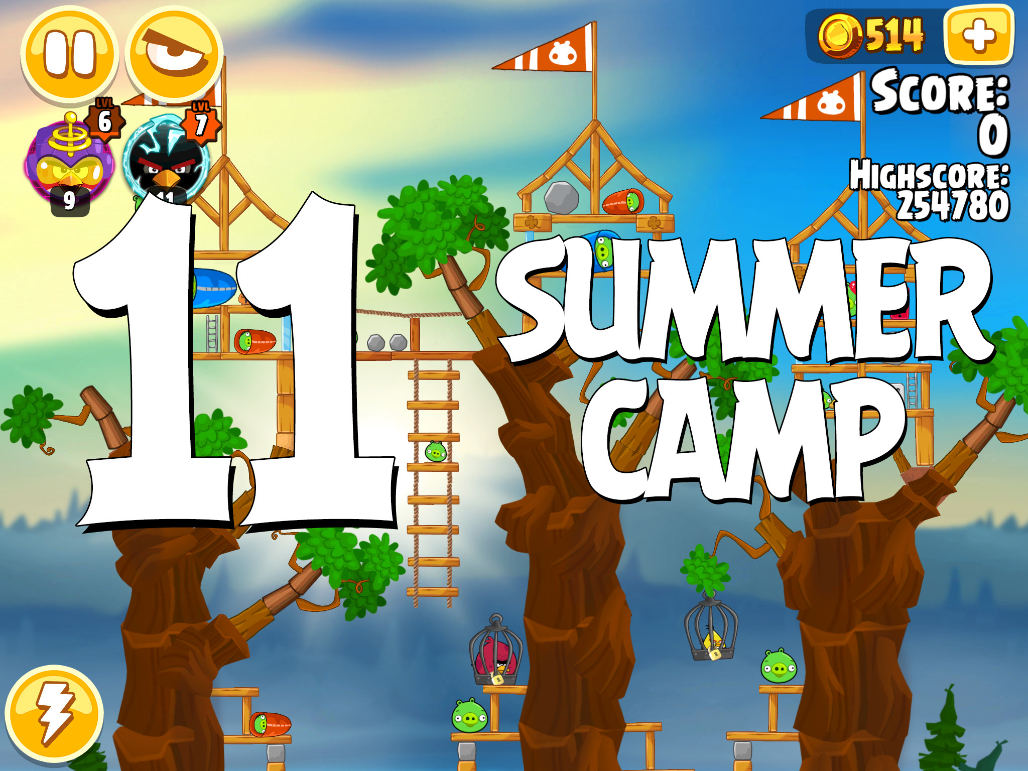 Angry-Birds-Seasons-Summer-Camp-Level-11