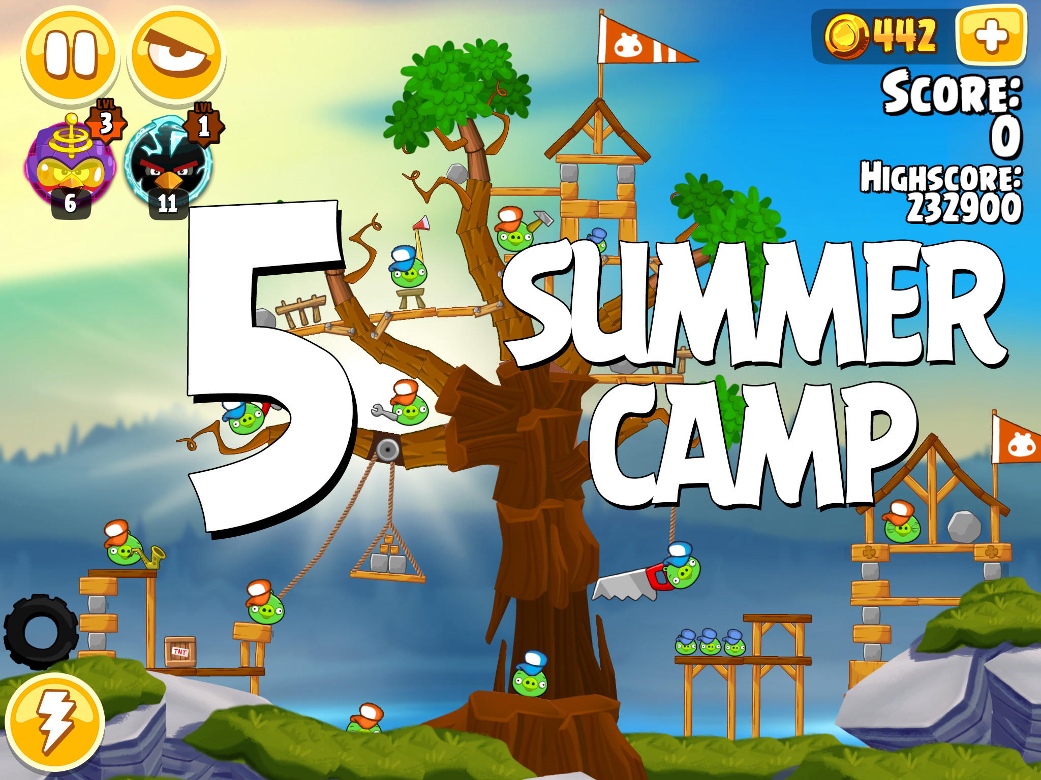 Angry-Birds-Seasons-Summer-Camp-Level-5