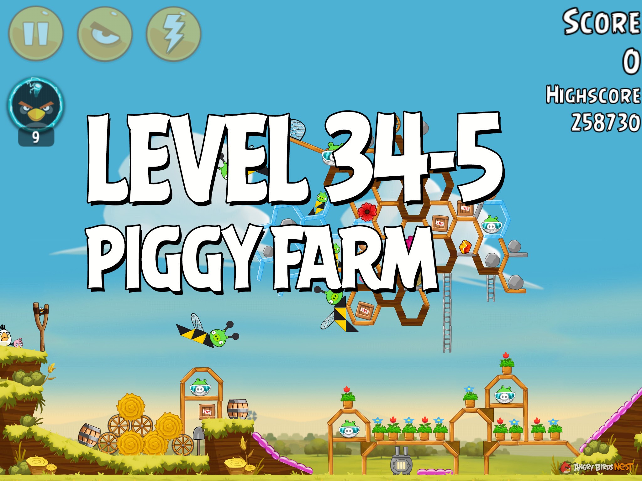 Angry-Birds-Piggy-Farm-Level-34-5