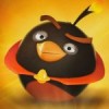 My profile picture