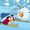 Yea, Angry Birds can ski!!