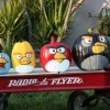 Angry Birds Pumpkins 1.jpg