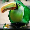Green Boomerang Bird.jpg