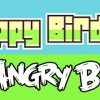Flappy Angry