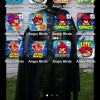 All Angry Birds