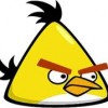 yellow angry bird.jpg