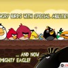 angry-birds-hd.jpg