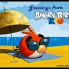 images of angry birds.jpg