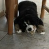 IMG_7863.jpeg