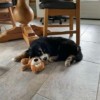 IMG_7864.jpeg