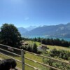 IMG_8116.jpeg