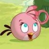pink bird.jpg