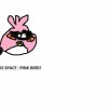 pink bird in ABSp.jpg