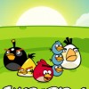 Angry Birds Wallpaper For Mobile