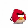 Really Angry Bird