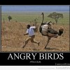 Angry-Emus.jpg