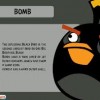 bomb bird.jpg