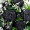 Black roses for TomPuss
