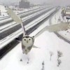 snow-owl.jpg