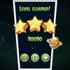 Pig Dipper Mirror M6-16 puppy score