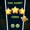 Pig Dipper Mirror M6-28 puppy score