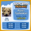 Angry_Birds_Rocket-Tournament_1st
