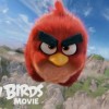 Red bird