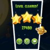 Screenshot_20241118_122047_com.rovio.angrybirdsspaceHD.jpg
