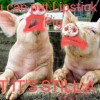 dirty_pigs.jpg