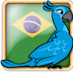 Profile picture of Brazil_bird