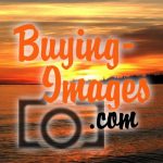 Profile picture of buying-images