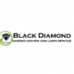 Profile picture of blackdiamondgrows