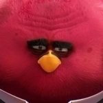 Profile picture of Bigus Birdus