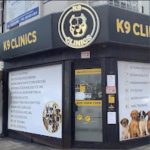 Profile picture of K9Clinics